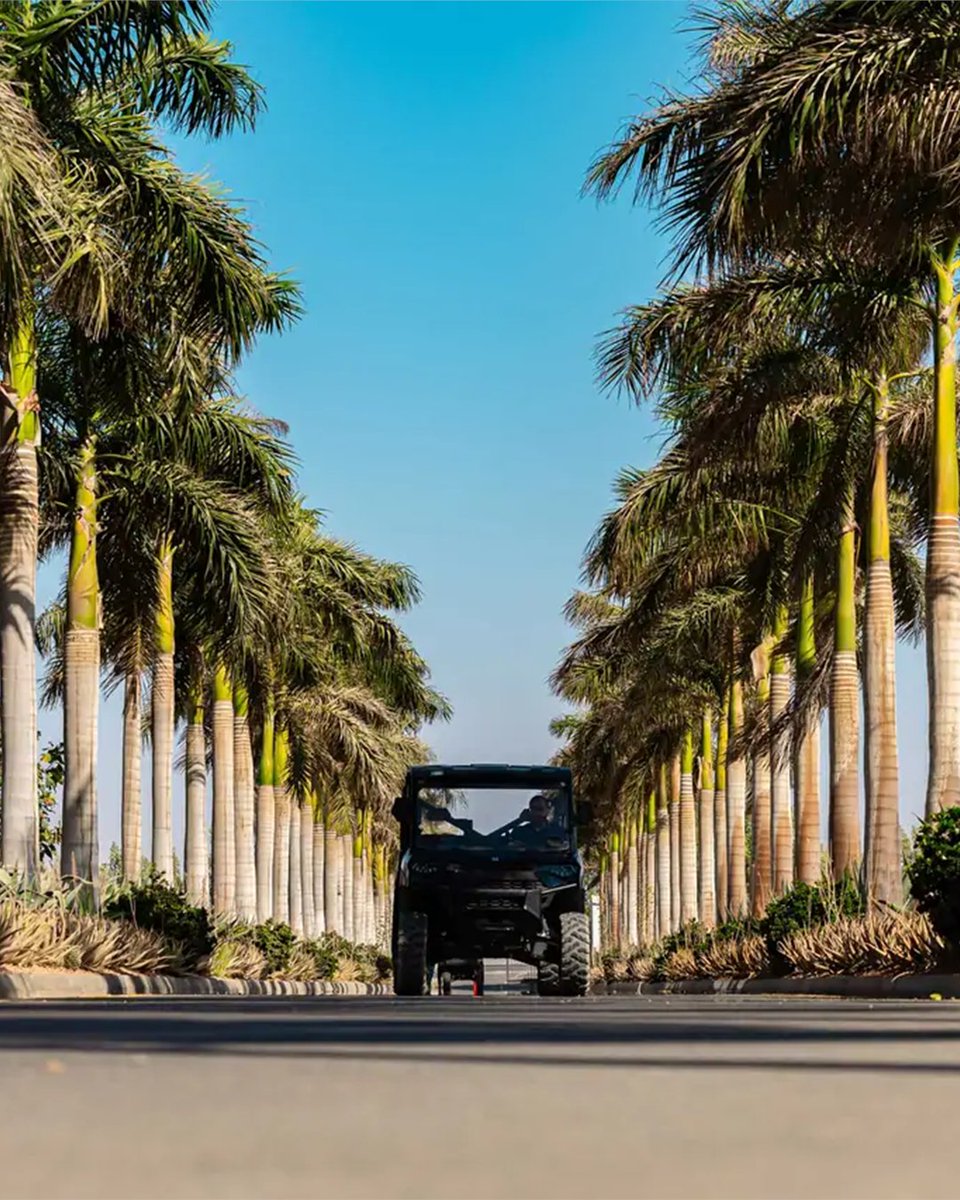 Visit Saudi tweet media