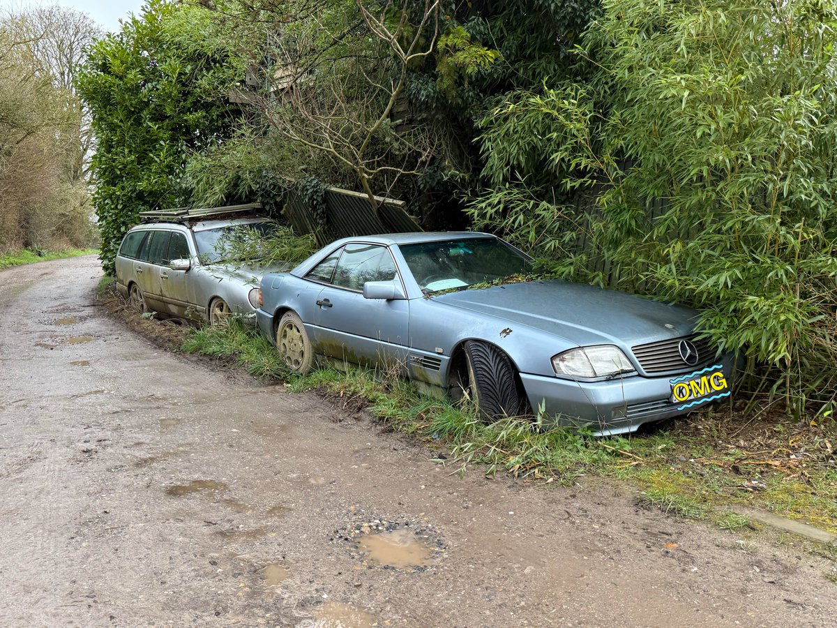 Harry Wilkin$ tweet media