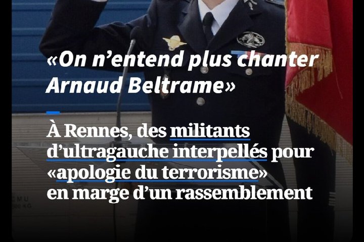 hamstervolan tweet media