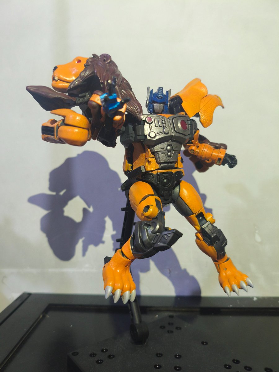 Shock谓 tweet media