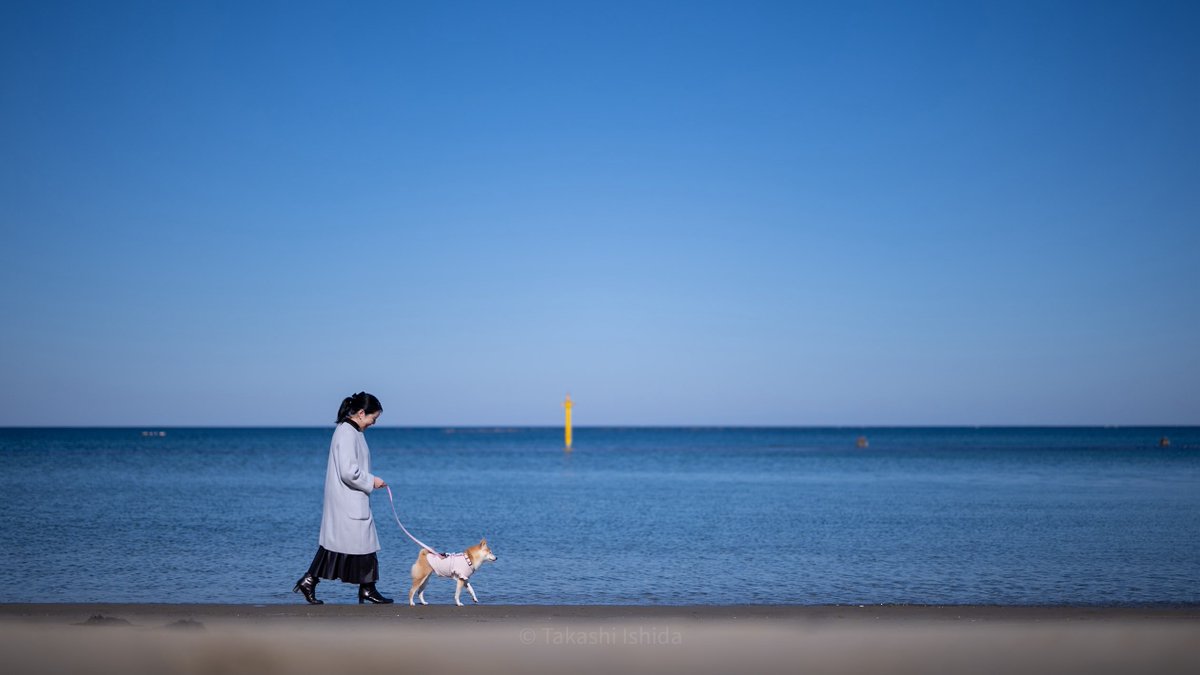 「休日」

雨晴海岸にて
Nikon Z8 + NIKKOR Z 50mm f/1.2 S