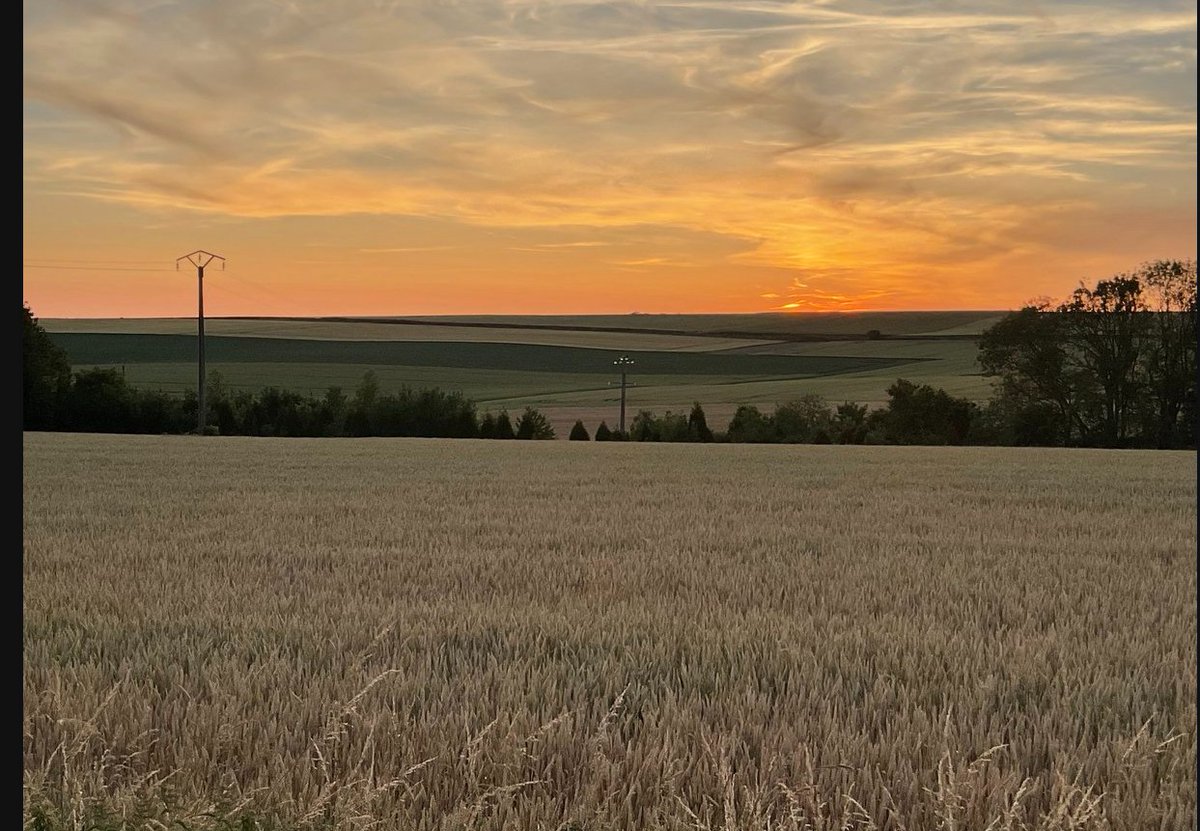 Tales From The Battlefields Podcast tweet media