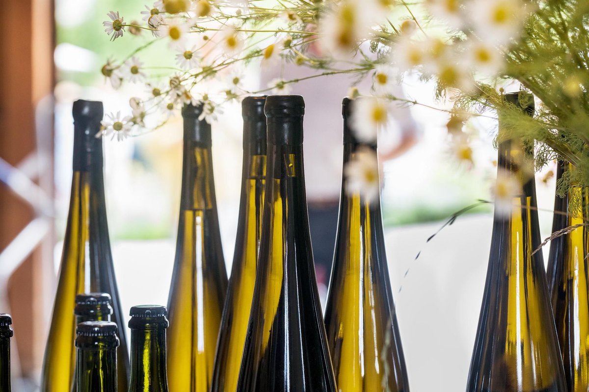 AustrianwineUSA's tweet image. Happy Riesling Day! Although Riesling is just a small percentage of area under vine in Austria, Austrian Riesling is considered one of the best in the world.

#AustrianWine

*Supported by the European Union* 

(c) ÖWM / Blickwerk Fotografie , ManuGrafenauer , Robert Herbst