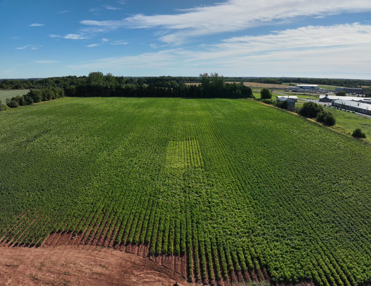 East Prince Agri-Environment Association tweet media