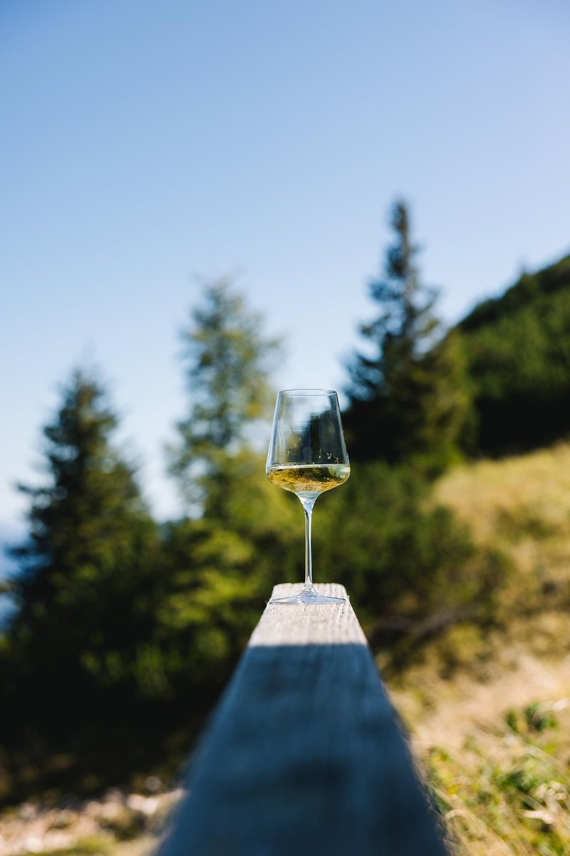 AustrianwineUSA's tweet image. Happy Riesling Day! Although Riesling is just a small percentage of area under vine in Austria, Austrian Riesling is considered one of the best in the world.

#AustrianWine

*Supported by the European Union* 

(c) ÖWM / Blickwerk Fotografie , ManuGrafenauer , Robert Herbst
