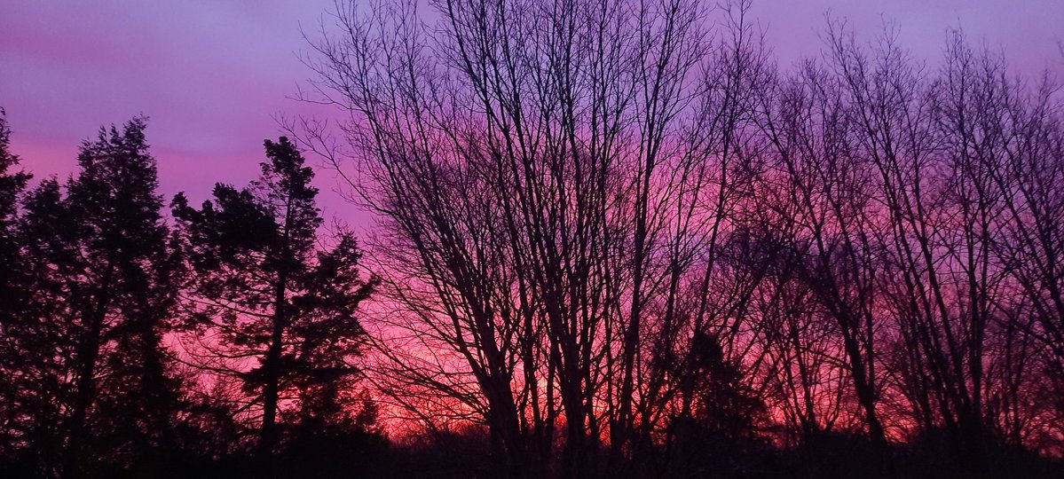 Carrie Aulenbacher tweet media