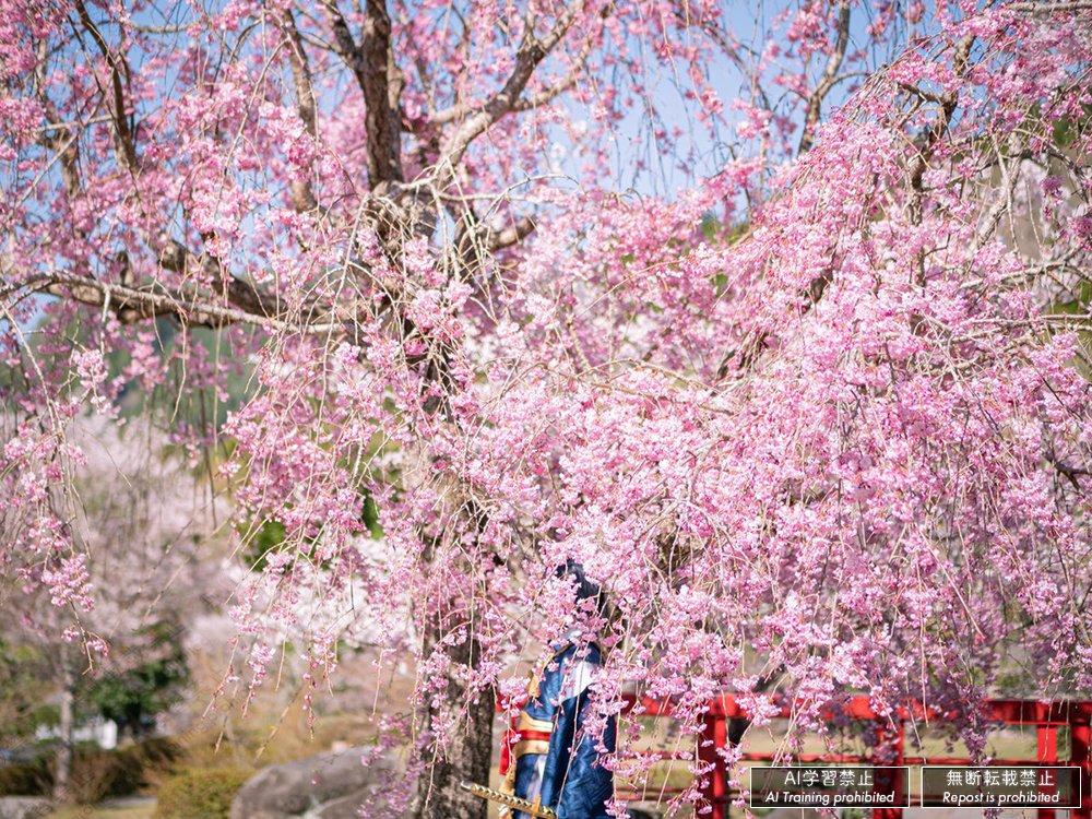 cosplay / touken
model ねえちゃん
photo tenco