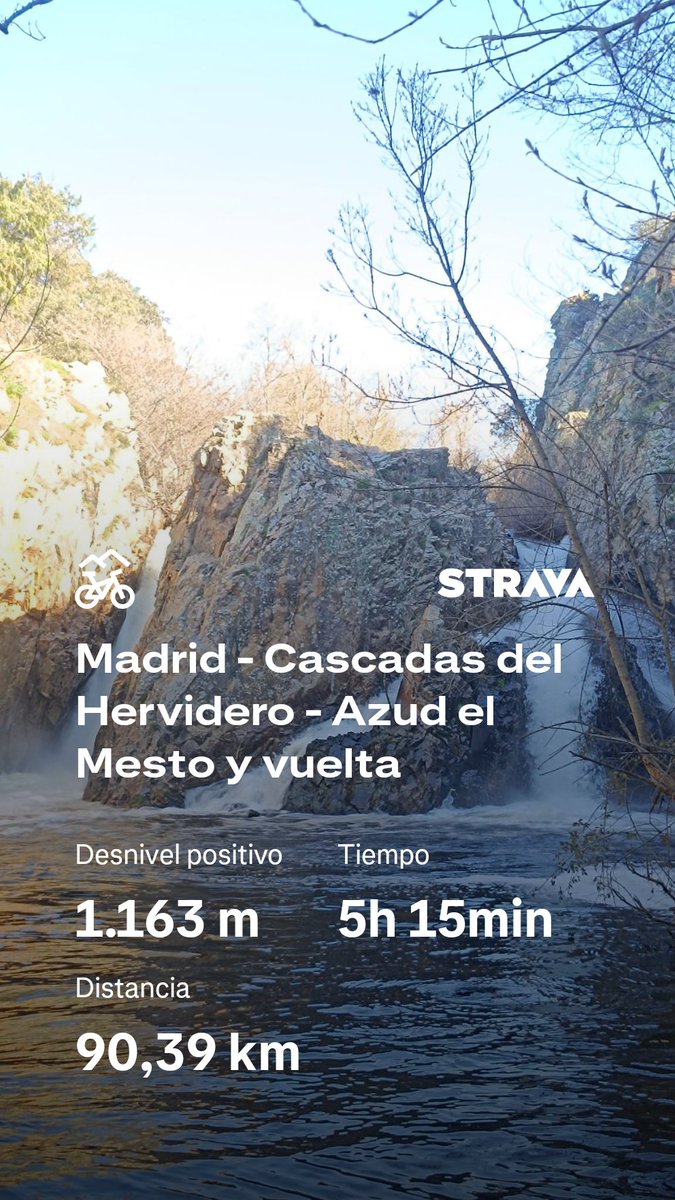 ... Manu ... 守破離 ... tweet media