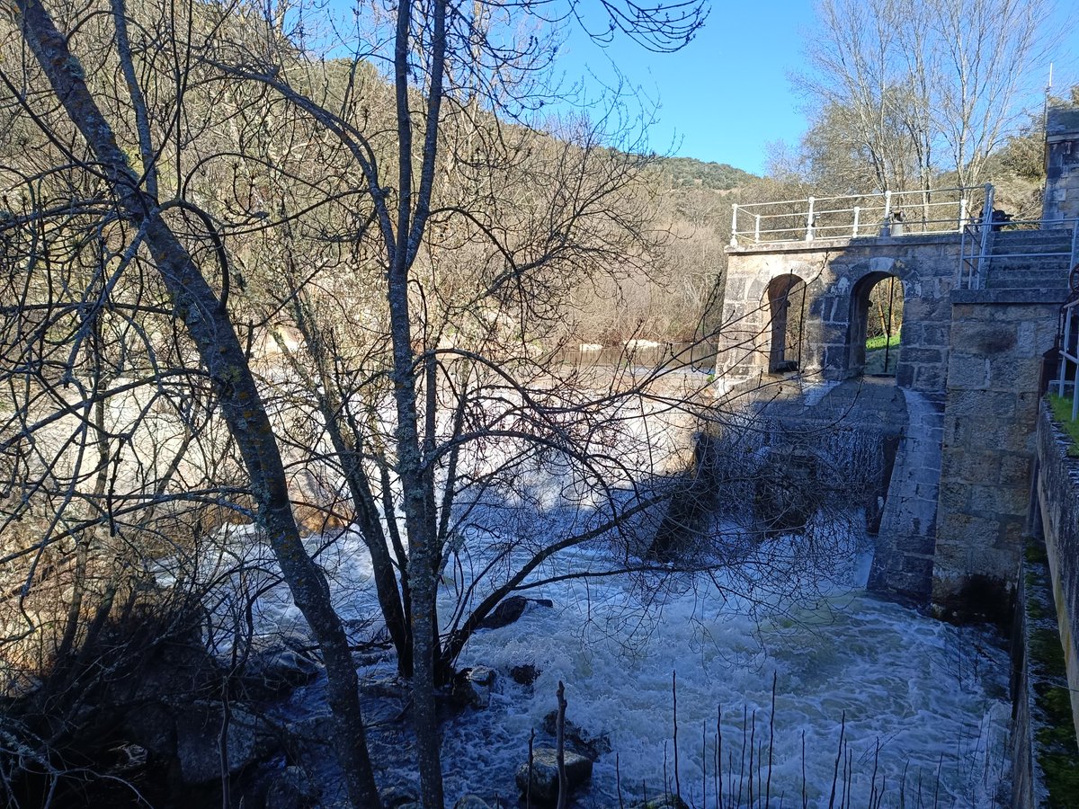 ... Manu ... 守破離 ... tweet media