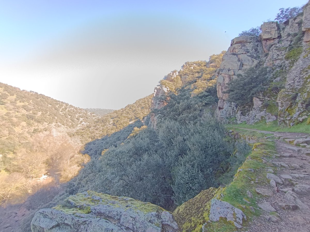 ... Manu ... 守破離 ... tweet media