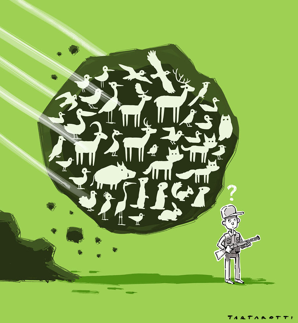 tartaro7's tweet photo. Giampaolo mi scrive "Tarta, calvo trampoliere, è vero che qualche mese fa, quando hai disegnato la copertina del libro "L'ultima trappola" di Michele Gualano @direnpa edito da @peoplepubit , hai fatto anche delle varianti tra cui scegliere?"
Ehm... Forse.
#caccia #leggicretine https://t.co/7CUO7rNvXs