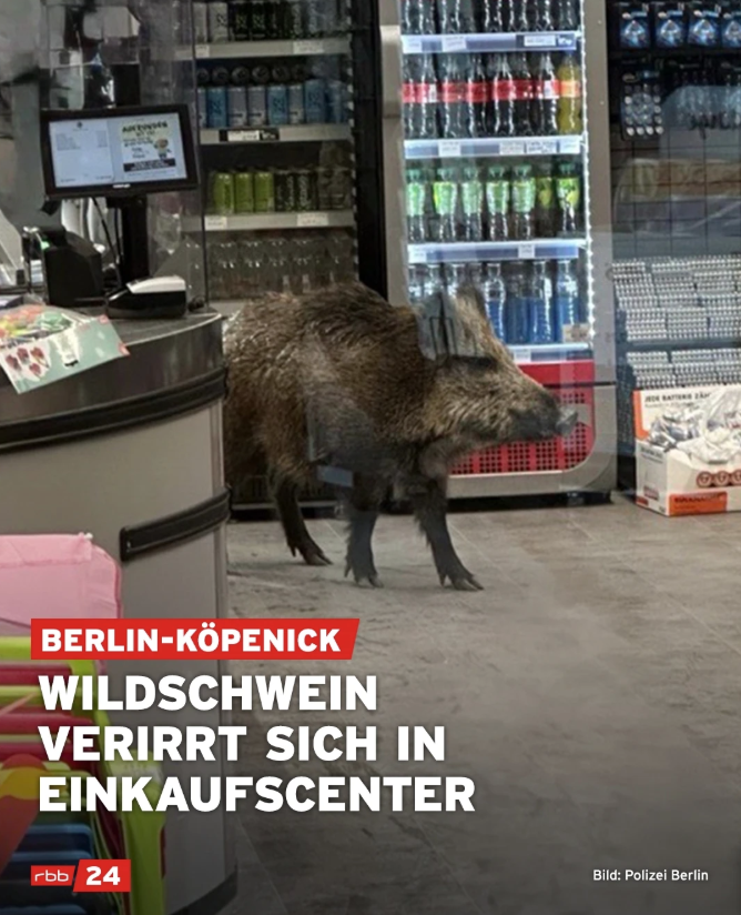 German at Portsmouth tweet media