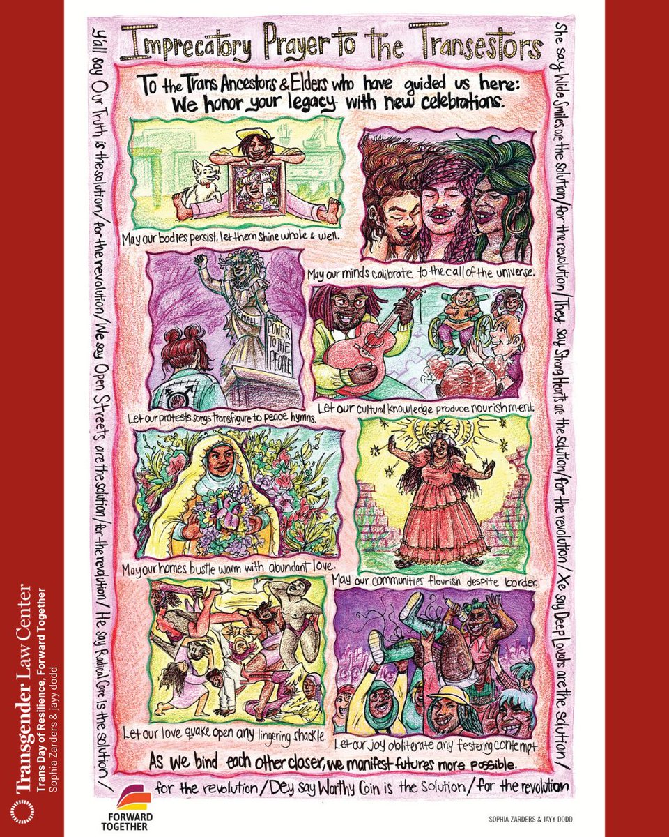 TransgenderLawCenter tweet media