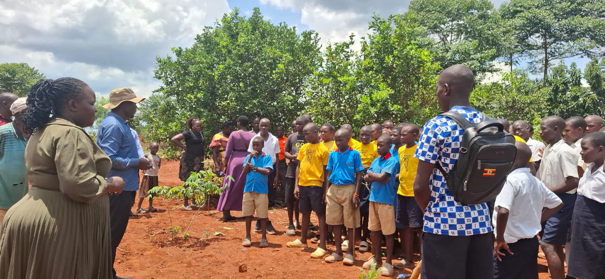 Dr. Mula Anthony tweet media