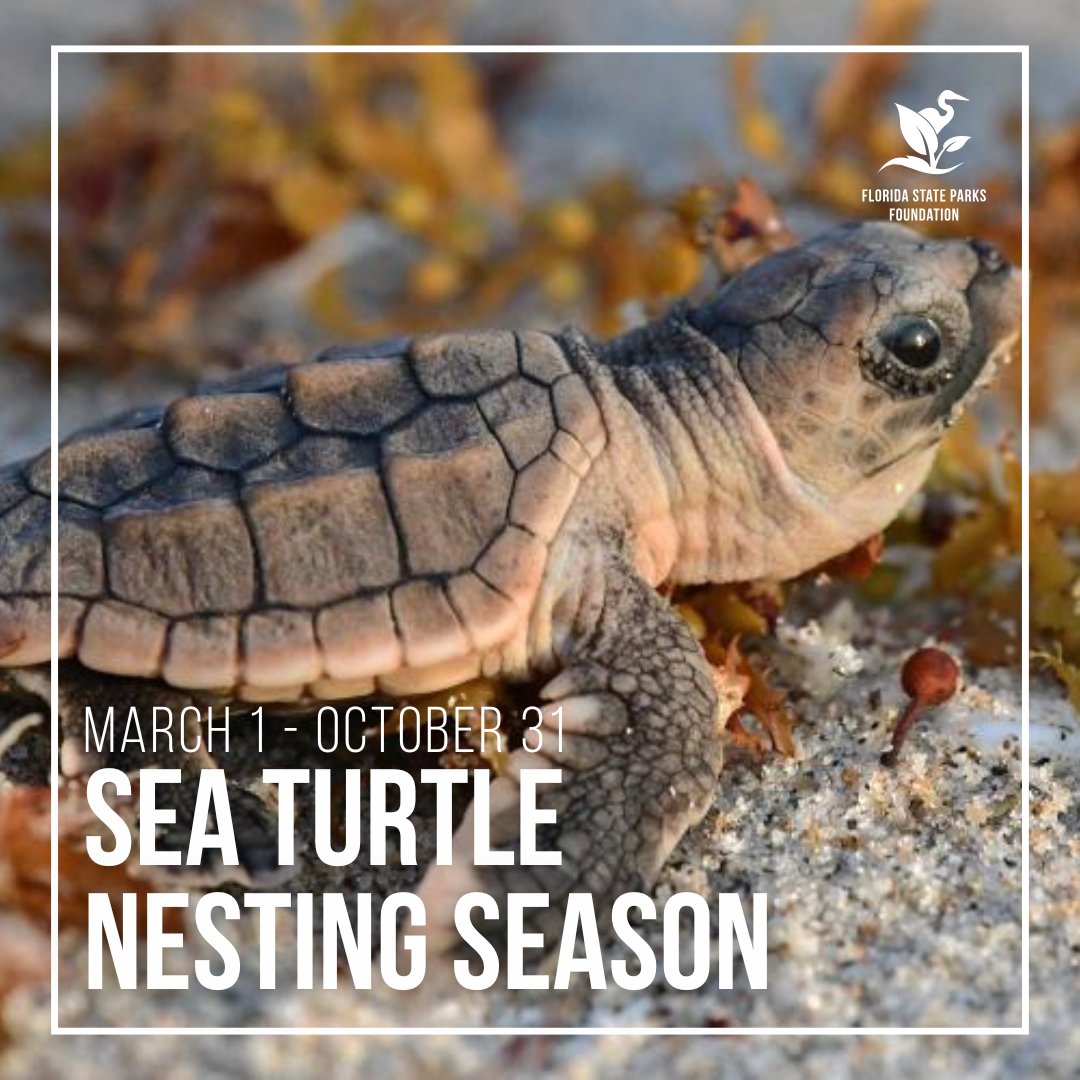 FL State Parks Foundation tweet media