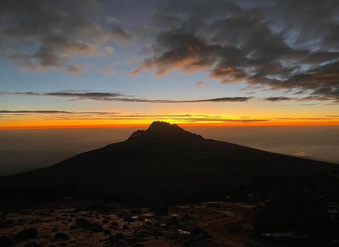 Michael Boytim tweet media