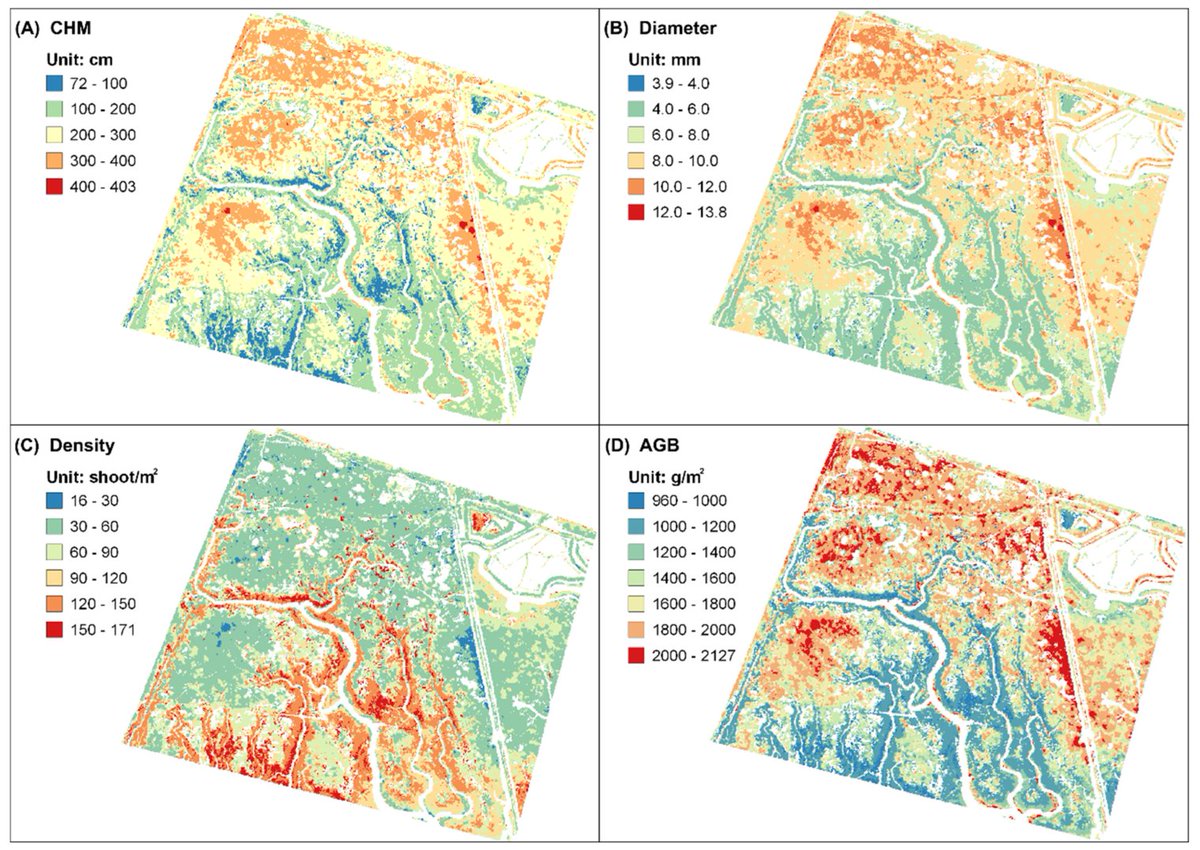 RemoteSens_MDPI's tweet image. 🌿💧 Synergy of #UAV- #LiDAR #Data and Multispectral #RemoteSensing Images for Allometric Estimation of Phragmites Australis Aboveground #Biomass in Coastal #Wetland

✍️ Chentian Ge et al.
🔗 brnw.ch/21x0Ifj