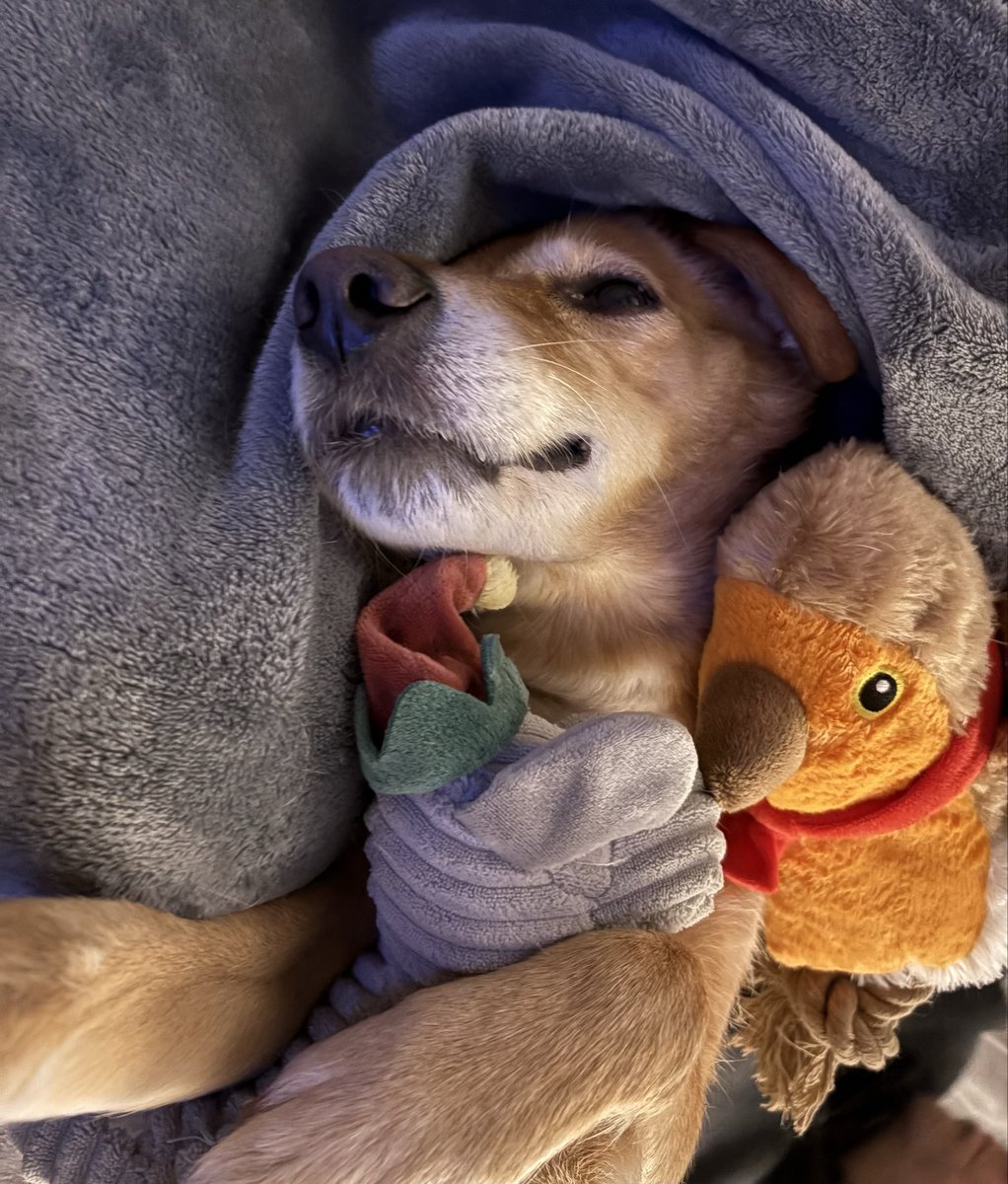 Sally Doherty writes 👩‍💻 tweet media