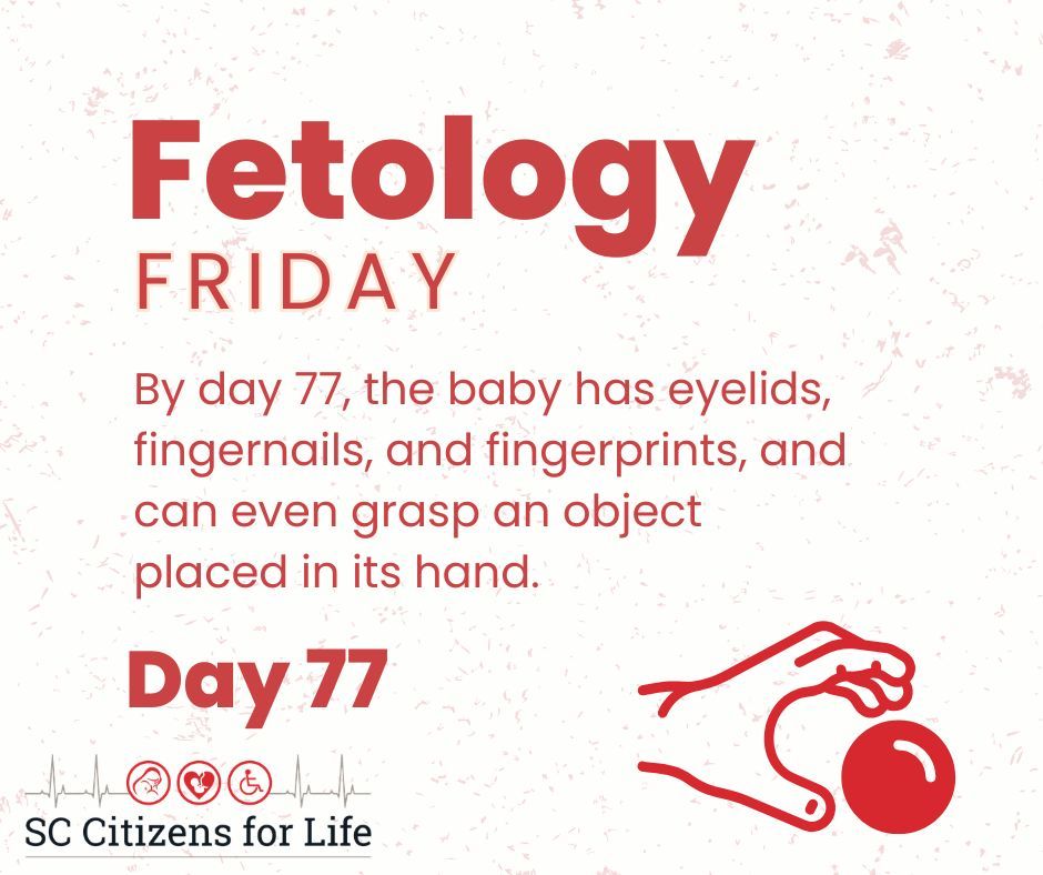 SC Citizens for Life tweet media