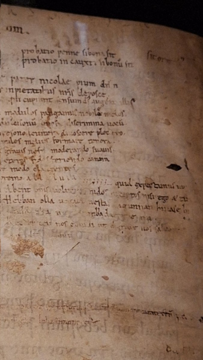 Jeroen Koerten tweet media