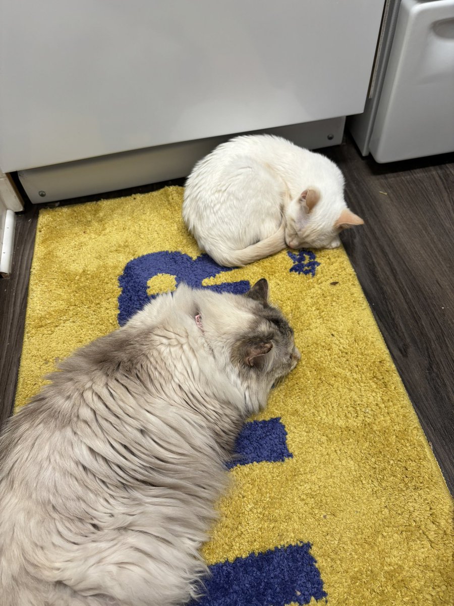 boche (gunched AND stumped) tweet media