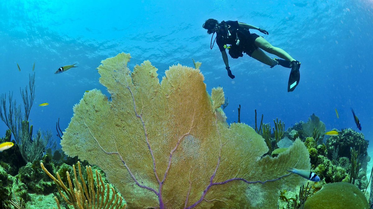 Turismo Illes Balears tweet media