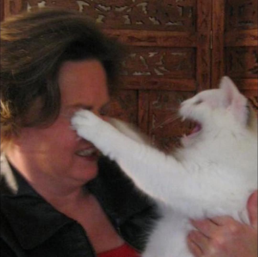 yo en el trabajo discutiendo con una señora necia