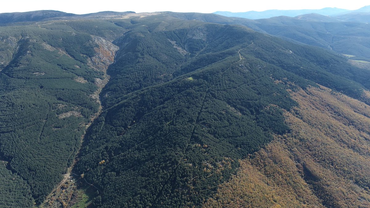 Naturaleza Castilla y León tweet media