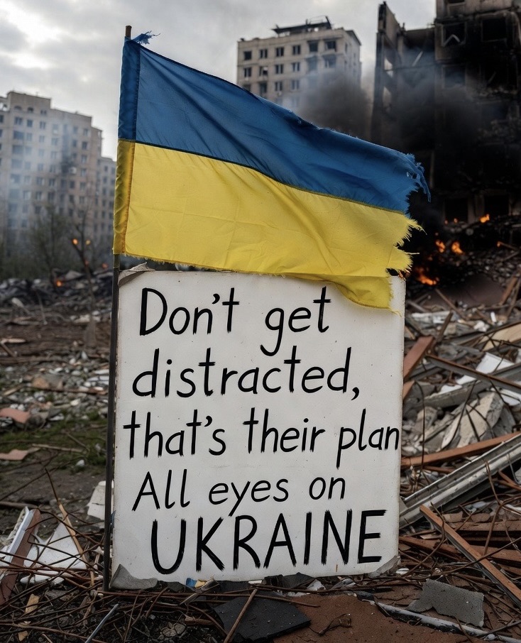 AnnaT 🇬🇧 🫶 🇺🇦 tweet media