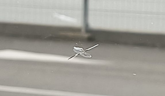 Alquinea tweet media