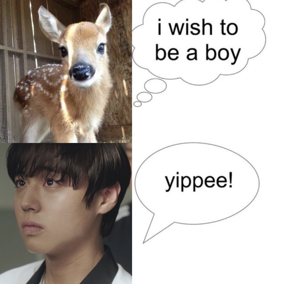 miu! (@wintycake) on Twitter photo 