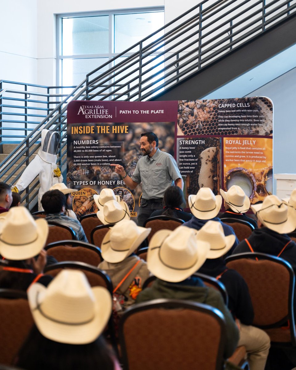 State Fair of Texas tweet media