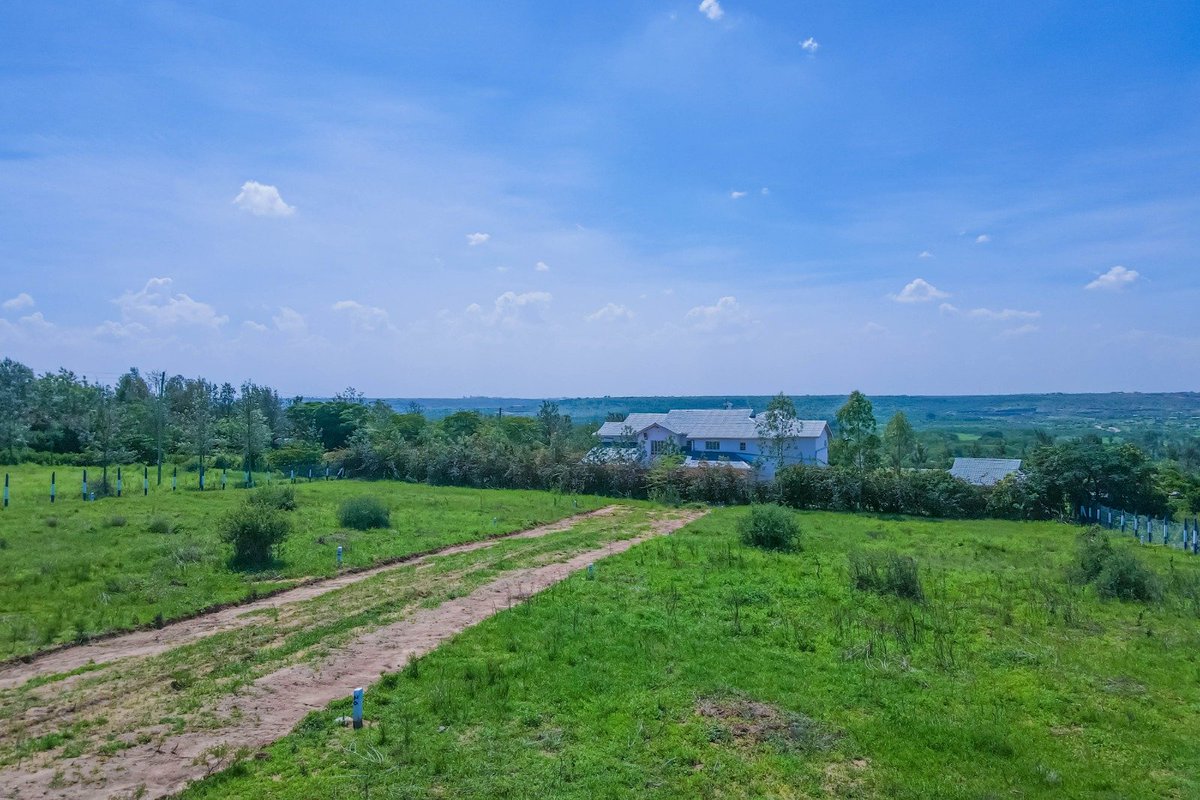 𝐓𝐖𝐎 𝐌𝐄𝐑𝐈𝐀𝐍𝐒™ tweet media