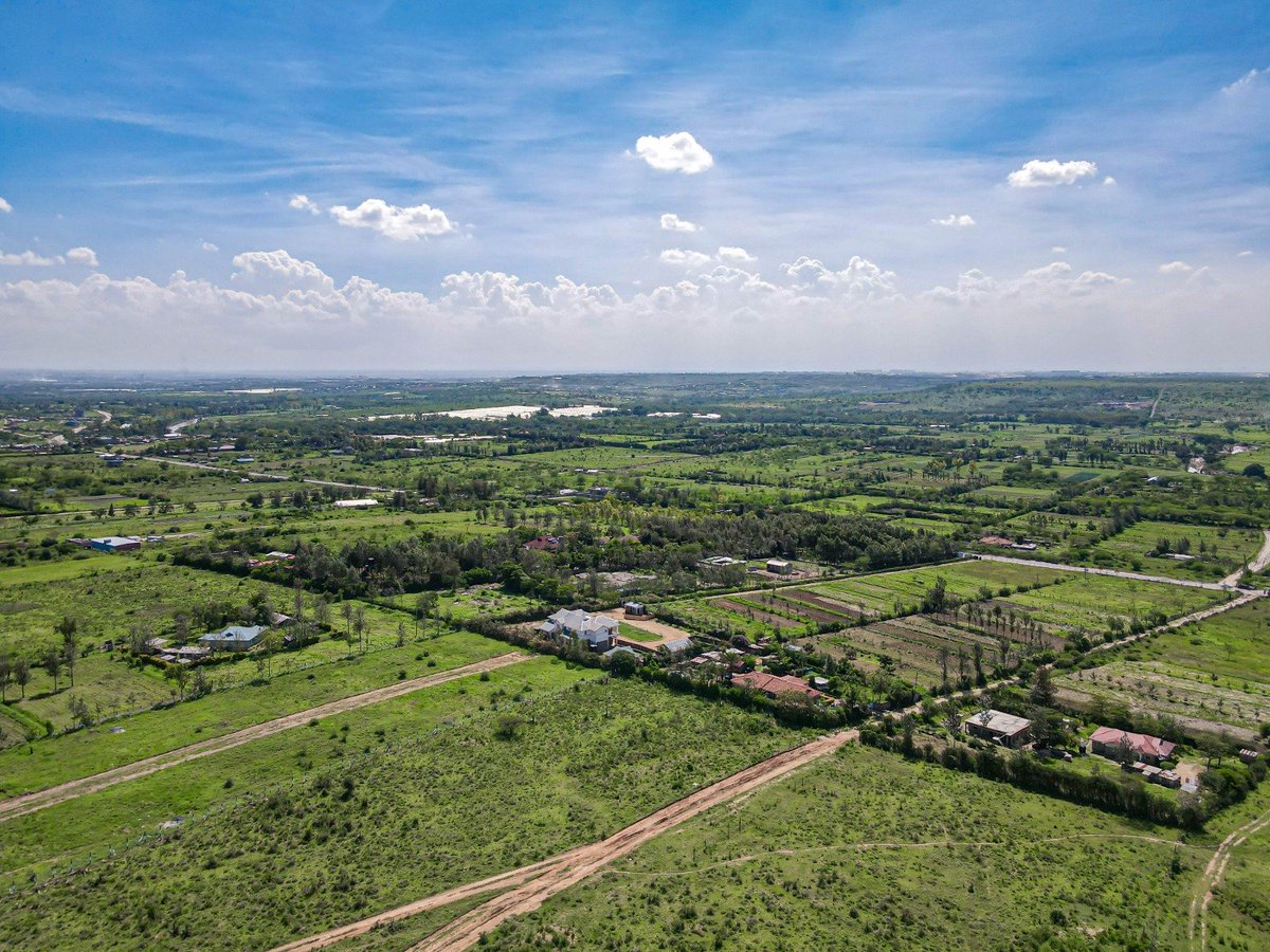 𝐓𝐖𝐎 𝐌𝐄𝐑𝐈𝐀𝐍𝐒™ tweet media