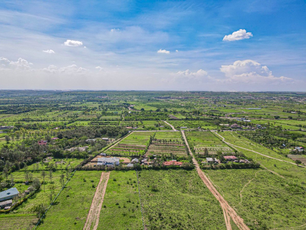 𝐓𝐖𝐎 𝐌𝐄𝐑𝐈𝐀𝐍𝐒™ tweet media