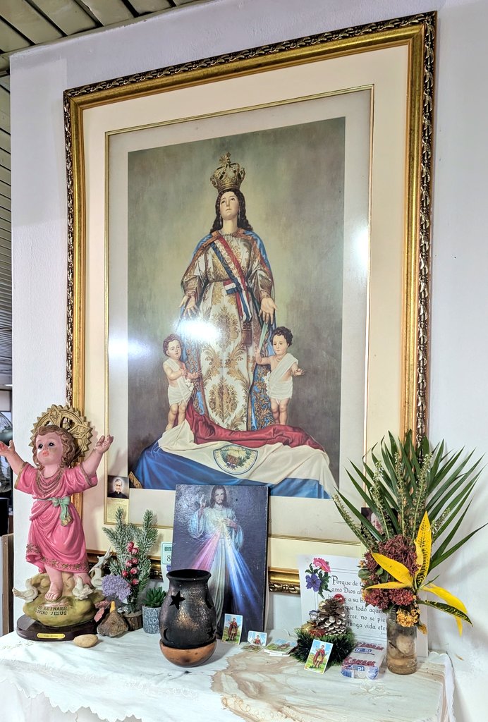 My Latin Life 🌴 tweet media