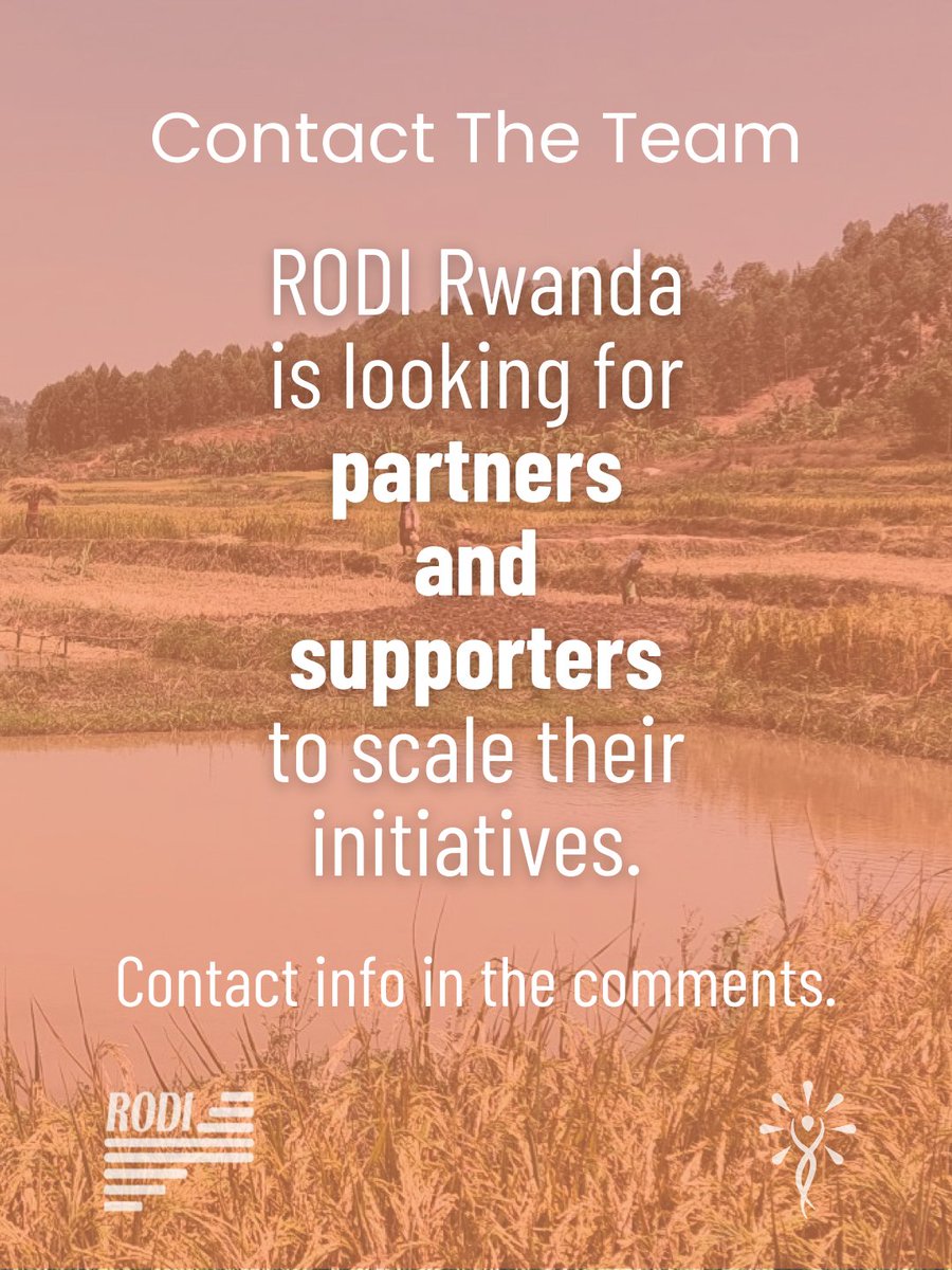 Lightup Impact tweet media