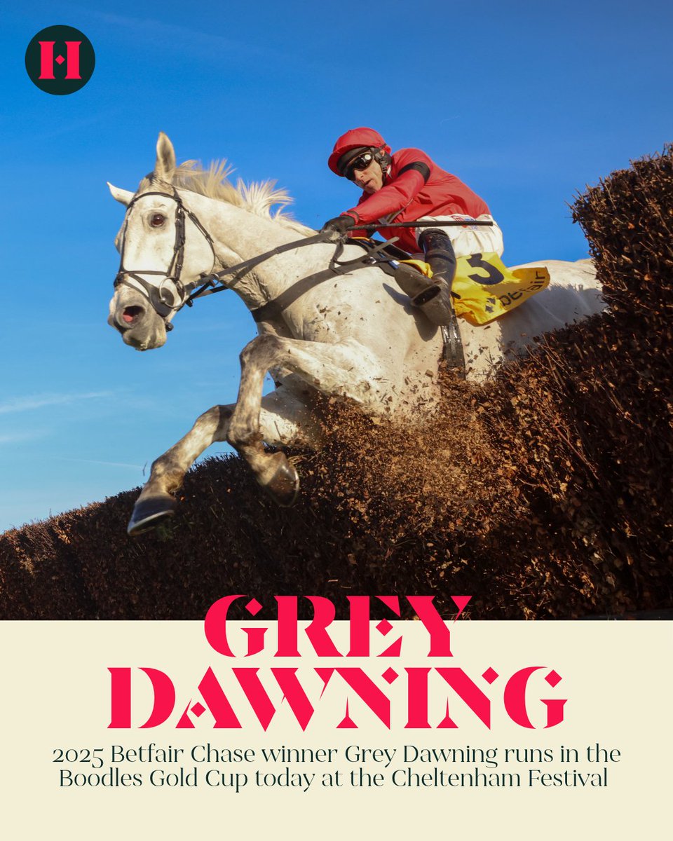 Haydock Park Races tweet media