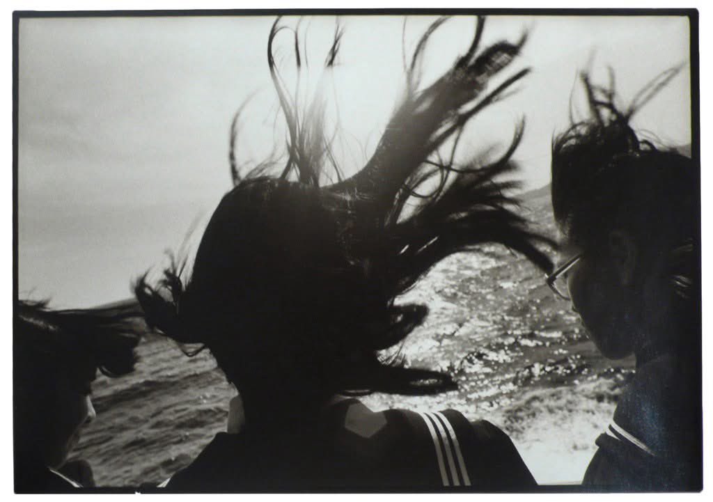 Wild at Heart tweet media