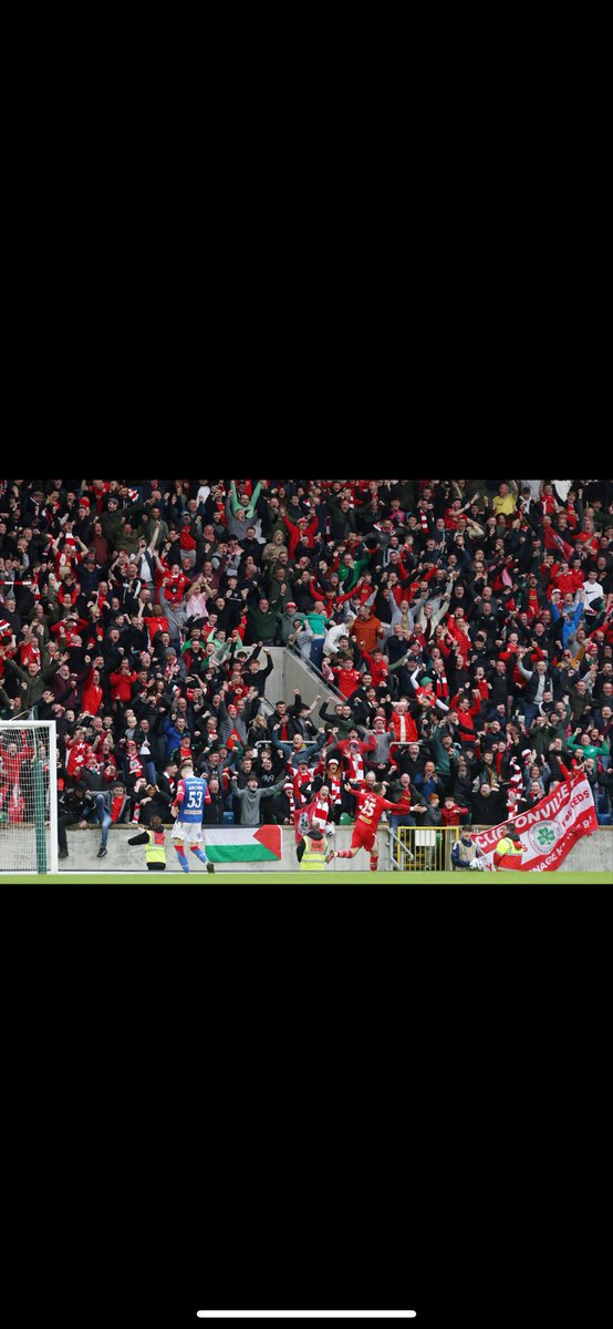 Damien Brannigan tweet media