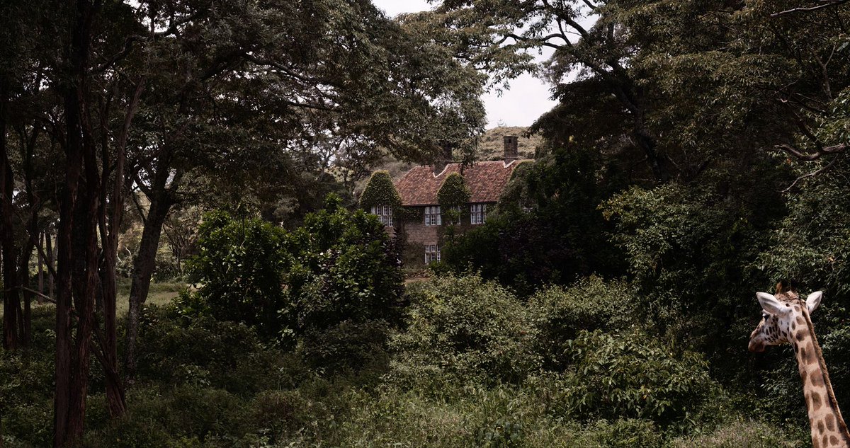 critic.de - Filmmagazin tweet media