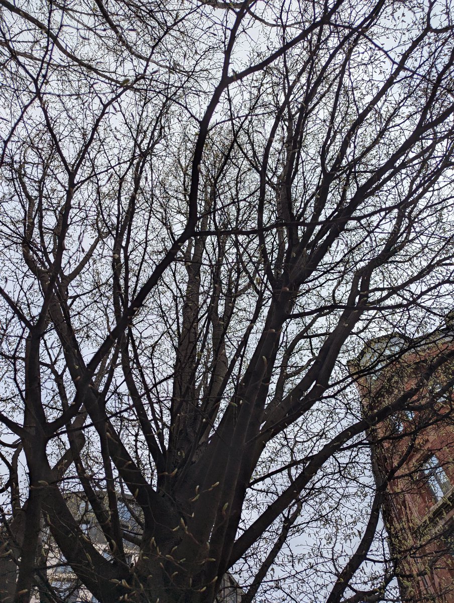 Akash 🇬🇧/🇮🇳 tweet media