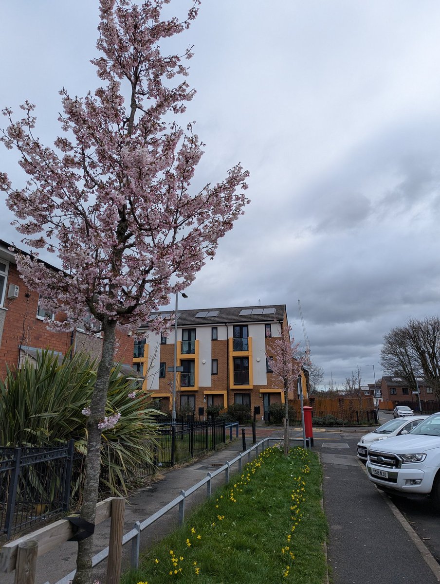 Akash 🇬🇧/🇮🇳 tweet media