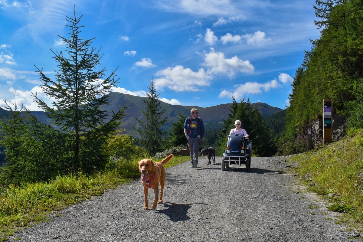 Able Magazine tweet media