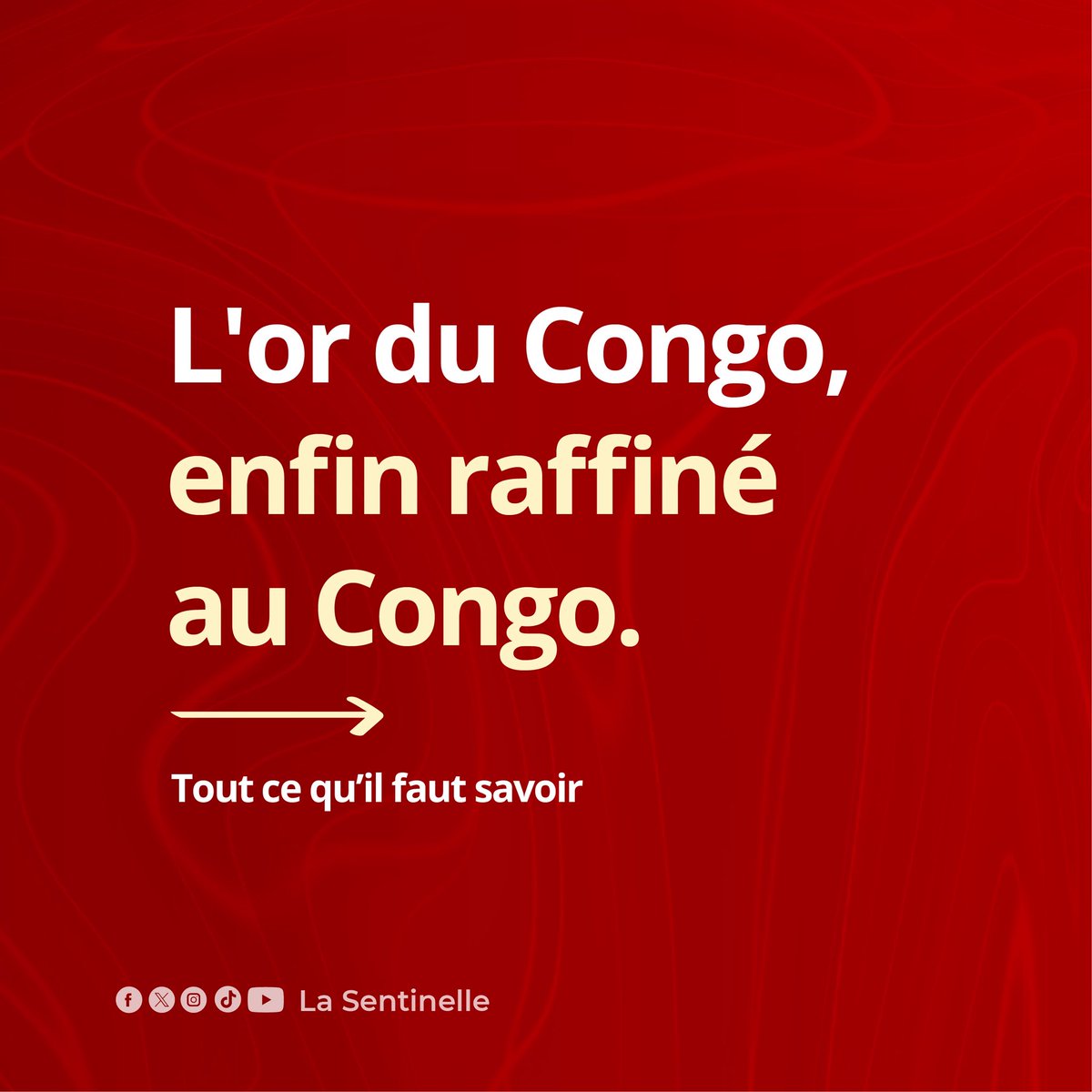 La Sentinelle tweet media