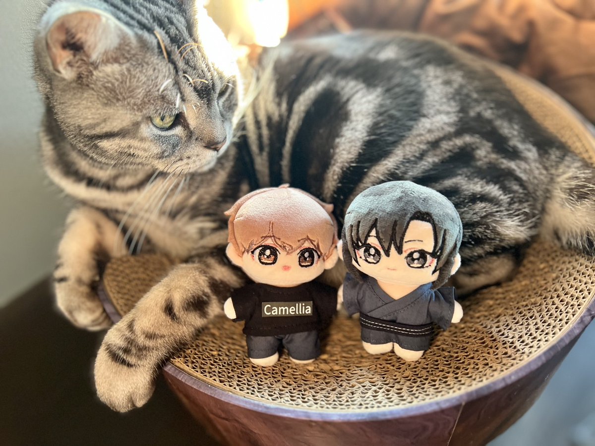 みちのくアタミ tweet media