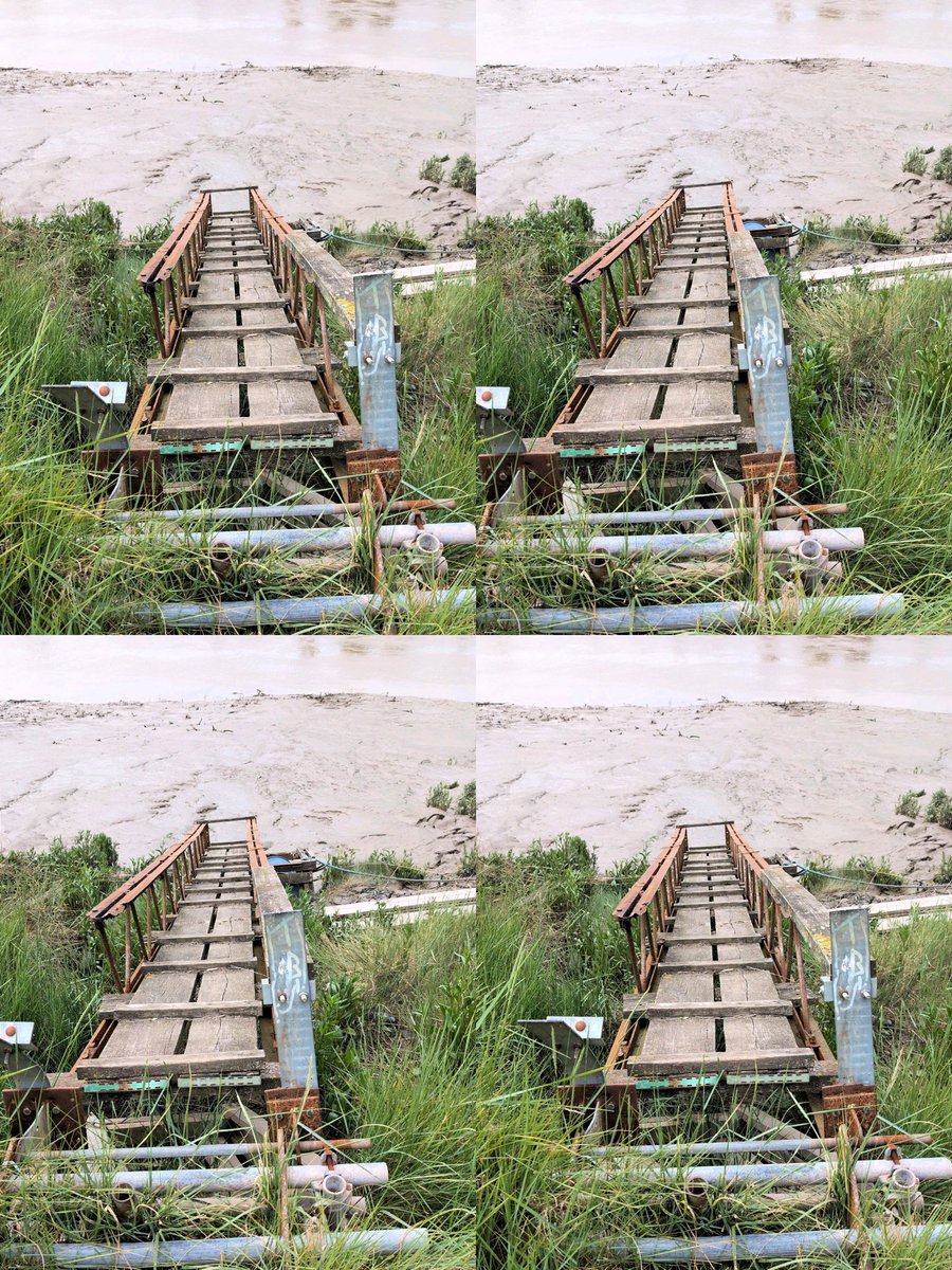 Tweedee Thomas tweet media