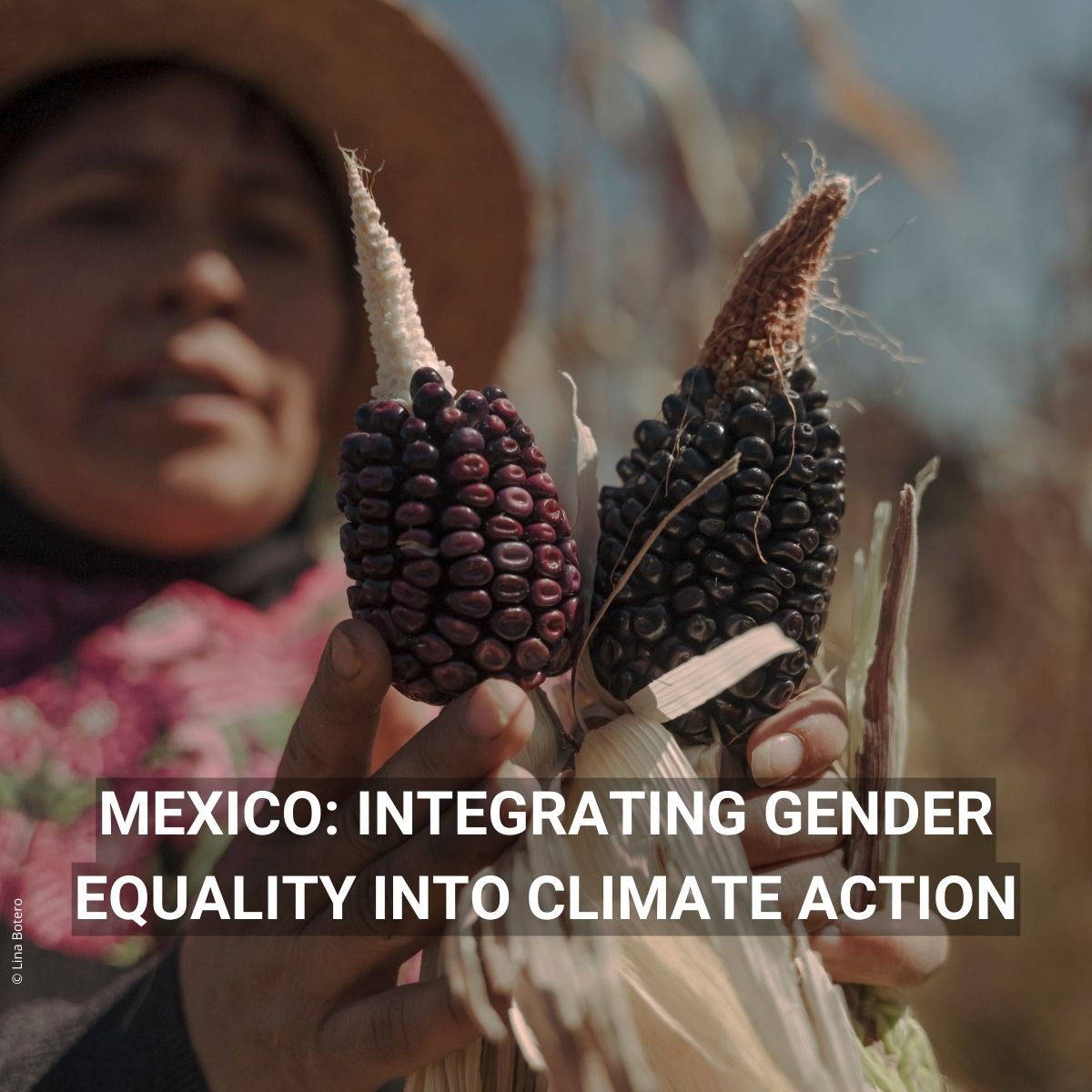 AFD_en 🇫🇷 🇪🇺 tweet media