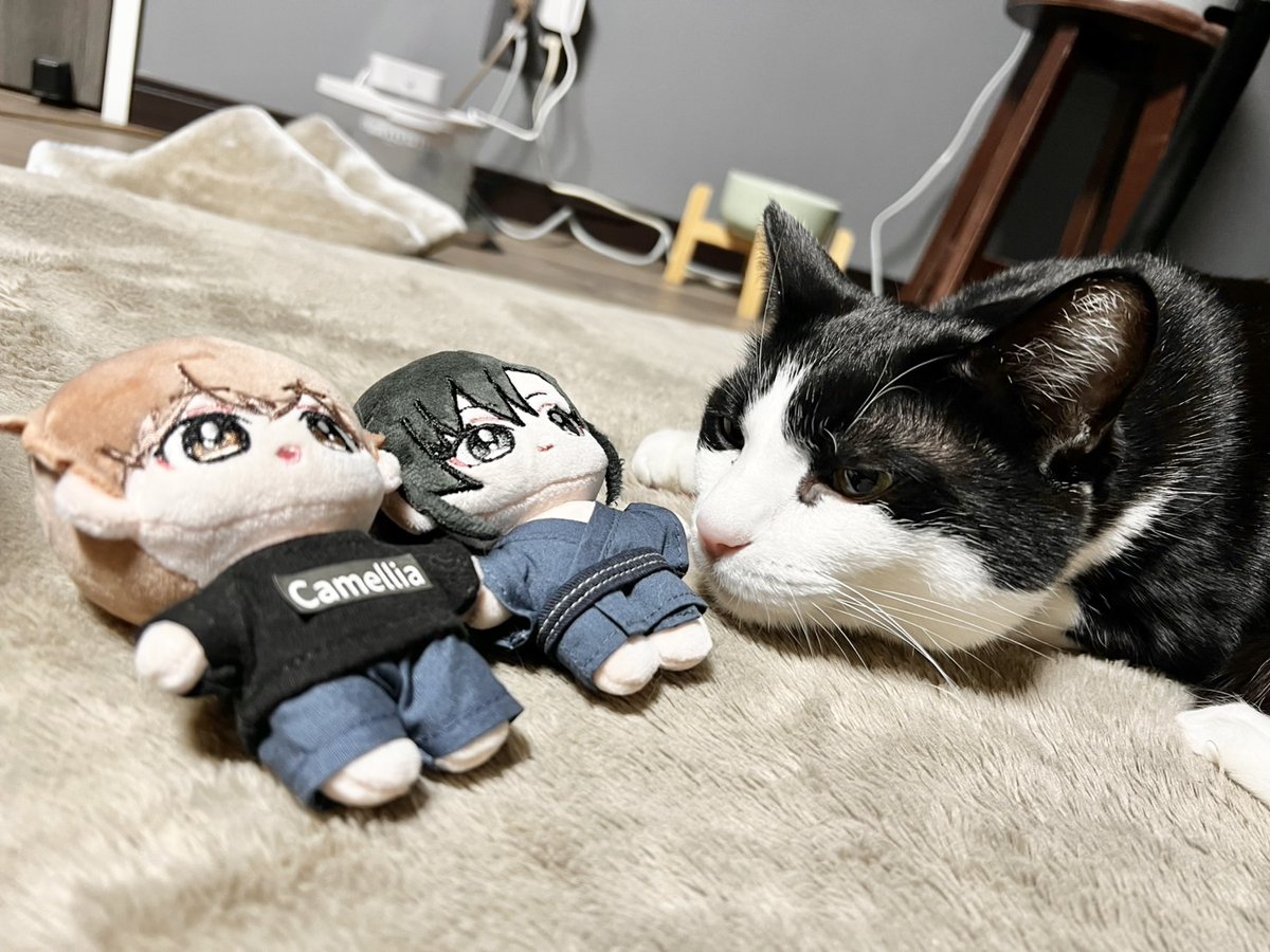 みちのくアタミ tweet media