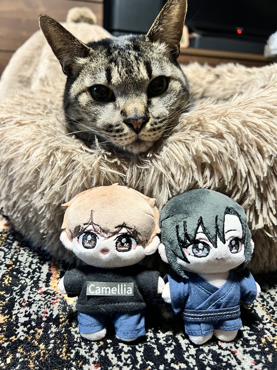 みちのくアタミ tweet media